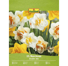 FloraSelf Narzissen Double Mix, Packung mit 15 Stück