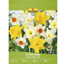 Packung Narzissenmischung mit 15 Blumenzwiebeln