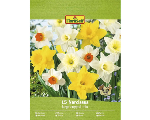 Blumenzwiebel Narzisse FloraSelf 'Mischung' 15 Stück