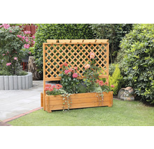 Blumenkasten mit Rankgitter promadino Holz 140 x 65 x 140 cm braun