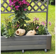 Blumenkasten mit Rankgitter Flora promadino Holz 91 x 41 x 130 cm grau