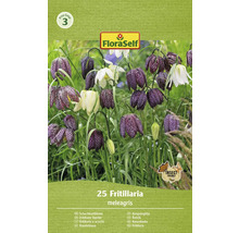 FloraSelf Schachbrettblume Blumenzwiebelpackung mit dem Insektfreundlich Symbol