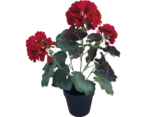 Kunstblume Geranium im Topf Höhe: 40 cm rot