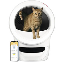 Katze in selbstreinigender Katzentoilette neben einem Smartphone