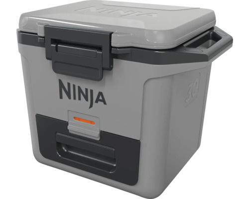 Ninja Kühlbox zur Aufbewahrung von Speisen und Getränken
