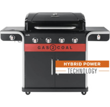 Gasgrill zur Verwendung mit Gas und Kohle