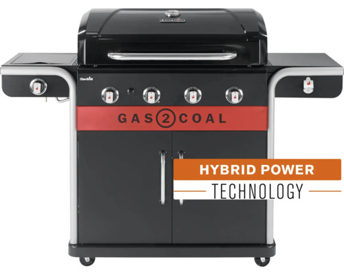 Gasgrill zur Verwendung mit Gas und Kohle