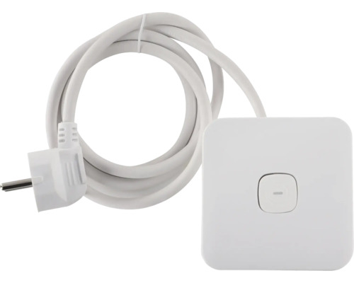 Zwischenschalter mit Stecker und Kabel