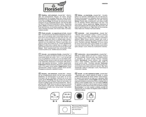 Produktinformationen zu Anbau und Pflege von Imperial Star Artischocken