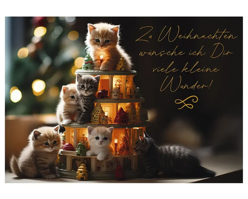 Weihnachtskarte mit Katzenwelpen auf einer Dekoration mit dem Text Zu Weihnachten wünsche ich Dir viele kleine Wunder!
