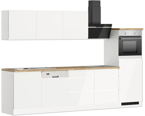 Küchenzeile mit Geschirrspüler, Kochfeld, Dunstabzugshaube und Backofen