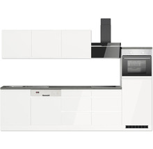 Küchenzeile mit Spüle, Geschirrspüler, Kochfeld, Dunstabzugshaube, Hängeschränken und Backofen