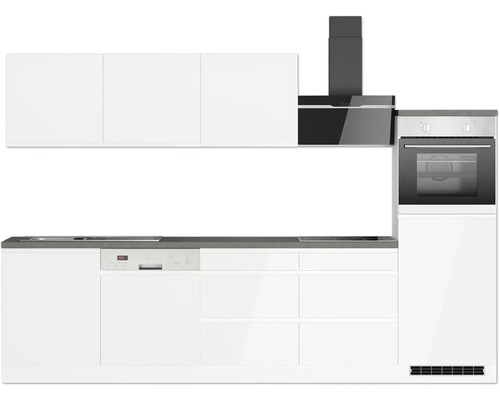 Küchenzeile mit Spüle, Geschirrspüler, Kochfeld, Dunstabzugshaube, Hängeschränken und Backofen