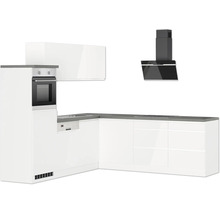 Moderne Küche mit Einbaubackofen, Dunstabzugshaube und Geschirrspüler