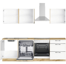 Küchenzeile mit Spüle, Geschirrspüler, Herd, Backofen, Dunstabzugshaube und Schränken