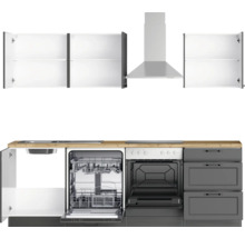 Küchenzeile mit Spüle, Geschirrspüler, Herd, Backofen, Dunstabzugshaube und Schränken