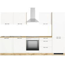 Küchenzeile mit Spüle, Kochfeld, Dunstabzugshaube, Backofen und Schränken