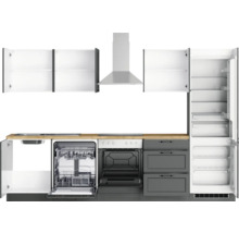 Küchenzeile mit Spülmaschine, Ofen, Dunstabzugshaube, Kühlschrank und Hängeschränken