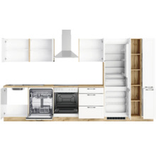 Küchenzeile mit Spüle, Geschirrspüler, Backofen, Dunstabzugshaube und Kühlschrank