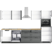 Küchenzeile mit Hängeschränken, Dunstabzugshaube, Spülmaschine und Einbaubackofen