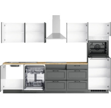 Küchenzeile mit Spüle, Geschirrspüler, Schubladen, Dunstabzugshaube, Schränken und Backofen