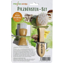Meine Ernte Pilzbürsten Set mit zwei Pilzbürsten