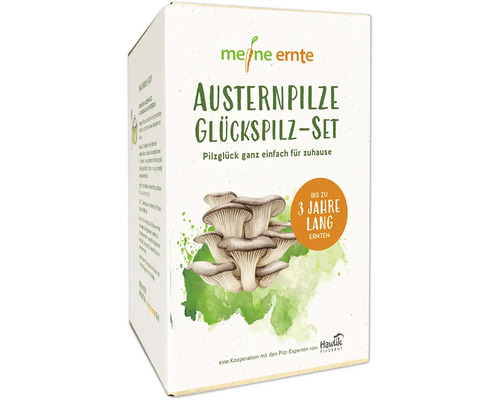 Meine Ernte Austernpilze Glückspilzset in der Verpackung