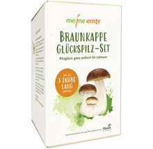 Braunkappe Glückspilz Set von Meine Ernte in Produktverpackung.
