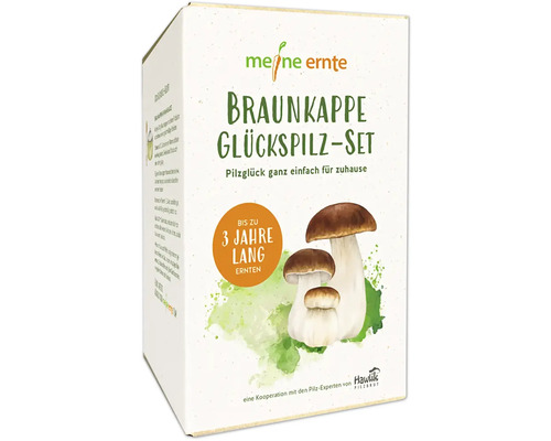 Braunkappe Glückspilz Set von Meine Ernte in Produktverpackung.