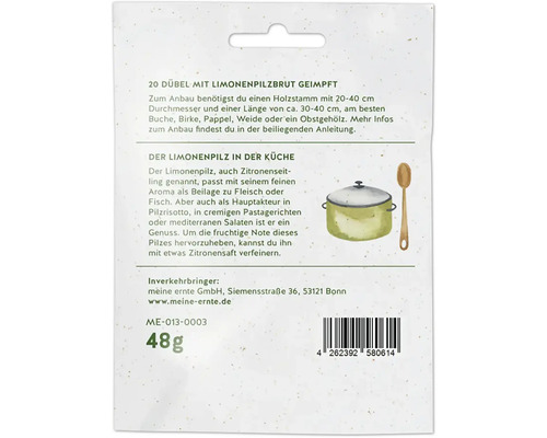 20 Dübel mit Limonenpilzbrut geimpft