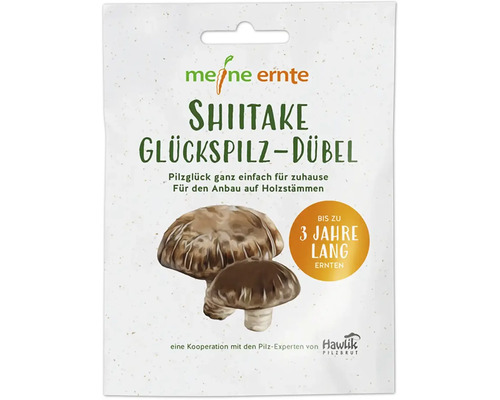 Meine Ernte Shiitake Glückspilz Dübel Packung für den Anbau von Pilzen auf Holzstämmen