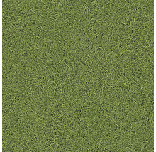 Grünfläche mit Rasenstruktur