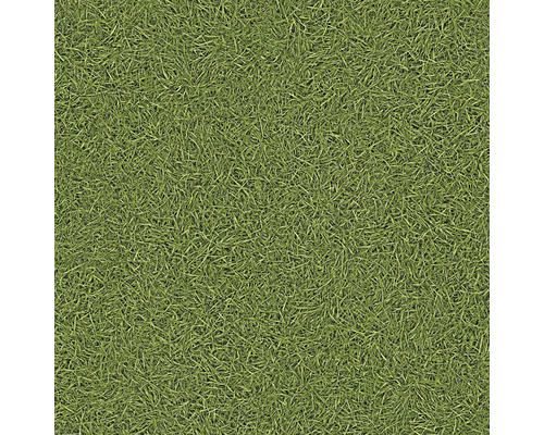 Grünfläche mit Rasenstruktur