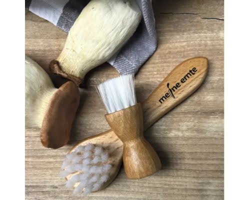 Gemüsebürsten Set mit Logo meine ernte neben Pilzen auf Holztisch