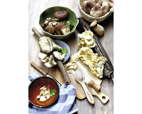 Verschiedene Pilzsorten in Schalen und auf einem Schneidebrett mit Messer und Gemüsebürste.