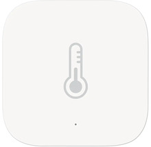 Thermometer Symbol zur Temperaturanzeige