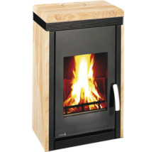 Kaminofen mit Holzfeuer