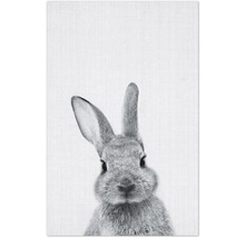 Nahaufnahme eines Hasen mit aufrechtem Ohr