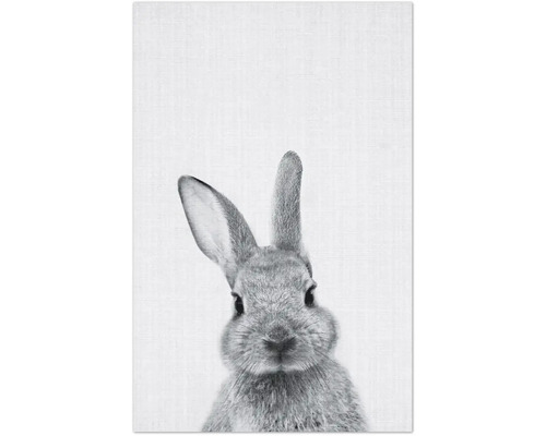 Nahaufnahme eines Hasen mit aufrechtem Ohr