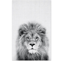 Schwarz-weißes Poster mit einem Löwenkopf