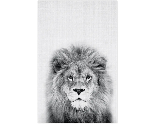 Schwarz-weißes Poster mit einem Löwenkopf