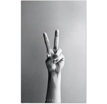 Hand, die das Victory-Zeichen macht