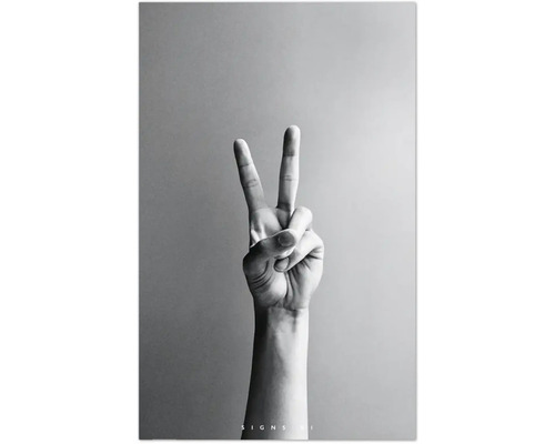 Hand, die das Victory-Zeichen macht