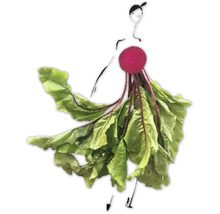 Illustration eines stilisierten Models mit einem Kleid aus Rüben und Blättern.