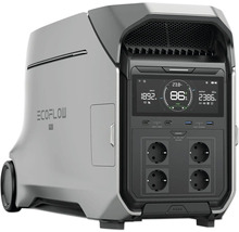 Tragbare EcoFlow Powerstation mit Display und Steckdosen