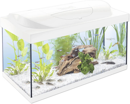 Aquarium Tetra Kleine Forscher Club inkl. Abdeckung weiß mit LED Beleuchtung 10 W, Innenfilter, Heizstab, Rückwandfolie, Futter, Wasseraufbereiter, Fangnetz ca. 54 L, ca. 61 x 31 x 30,8 cm Weißes Aquarium mit Pflanzen, Steinen und Fischen