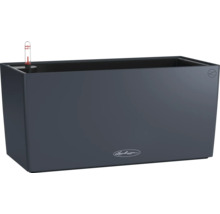 Lechuza Pflanzkasten mit Bewässerungssystem