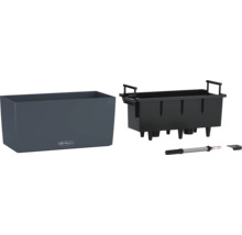 Lechuza Cube Pflanzkasten mit Bewässerungssystem