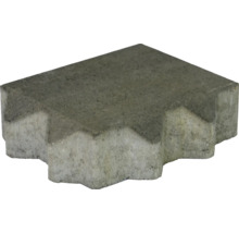 Grauer Pflasterstein