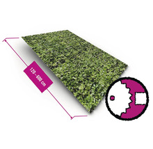 Heckenmatte mit den Maßen 120 bis 600 cm